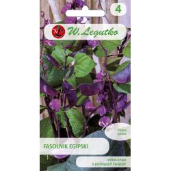 Egyptská fazole - růžová a fialová - Semena - W. Legutko