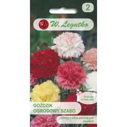 Szabo zahradní karafiát - směs - Semena - W. Legutko