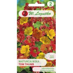 Nasturtium low - Tom Thumb - mix - Semena - W. Legutko