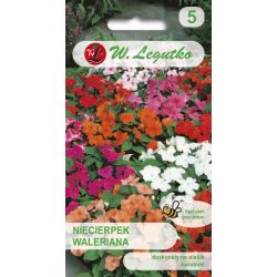 Impatiens Valerian - směs F2 - Semena - W. Legutko