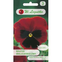 Maceška - švýcarská - Abendglut, Alpen Glow - velkokvětá - Semena - W. Legutko