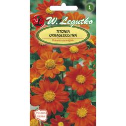 Titonia - rumělka - Semena - W. Legutko