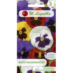 Maceška - švýcarská - směs - velkokvětá - Semena - W. Legutko