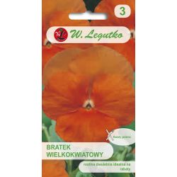 Maceška - Swiss - Orange Sun - Semena - W. Legutko