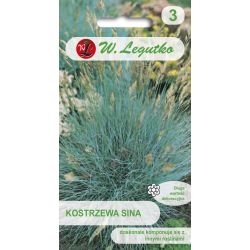 Kostřava modrá - stříbřitě modrá - Semena - W. Legutko