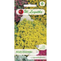 Sedum - směs druhů - Semena - W. Legutko