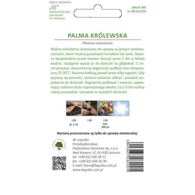 Královská palma - Semena - W. Legutko