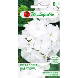 Pelargonium - akční řada F1 - bílá - Semena květin v květináči - W. Legutko