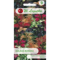 Koleus - Blumego - Rokoko - mix - Semena - W. Legutko