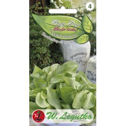 Čekanka - listová - Cuketa di Trieste - Semena - W. Legutko