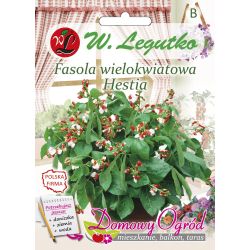 Zakrslé fazole velkokvěté - Hestia - Semena - W. Legutko