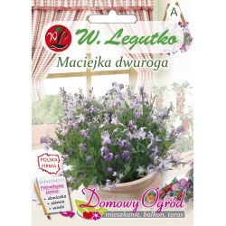Maciejka - dvourohá - růžová levandule - Semena - W. Legutko
