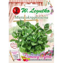 Máta s kulatým listem - Semena - W. Legutko