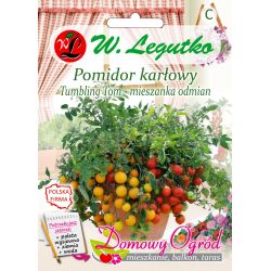 Rajče - zem - trpaslík - Tumbling Tom - Semena - W. Legutko