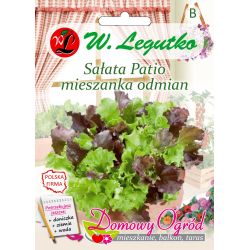 Terasový salát - směs odrůd - Semena - W. Legutko