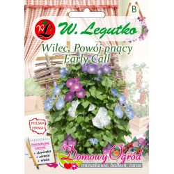 Vrba, svlačec popínavý - Early Call - Semena - W. Legutko