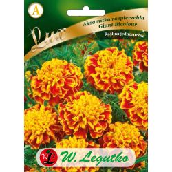 Měsíček rozptýlený - Giant Bicolor - Semena - W. Legutko