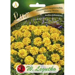 Měsíček lékařský - rozptýlený - Honey Moon - Semena - W. Legutko