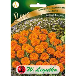 Tagetes - rozptýlené - Mandarin - Semena - W. Legutko