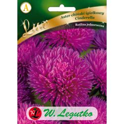 Astra - Čínská - Jehla - Popelka - Semena - W. Legutko Astra - Čínská - Jehla - Popelka - Semena - W. Legutko