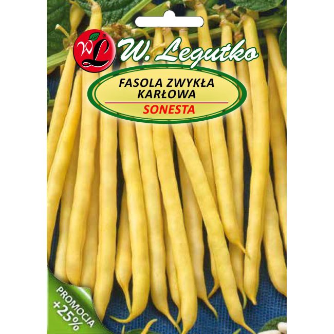 Zakrslé fazole obecné - Sonesta - Semena - W. Legutko Zakrslé fazole obecné - Sonesta - Semena - W. Legutko