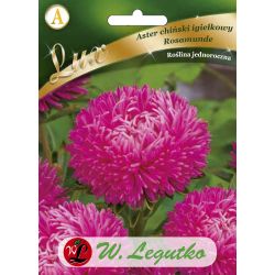 Astra - čínská - jehla - Rosamunde - Semena - W. Legutko Astra - čínská - jehla - Rosamunde - Semena - W. Legutko