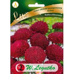 Astra - čínská - Bolero - červená - Semena - W. Legutko Astra - čínská - Bolero - červená - Semena - W. Legutko