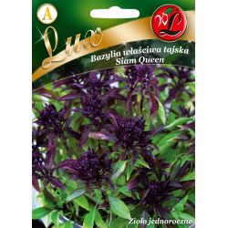 Thajská bazalka - Siam Queen - Semena - W. Legutko