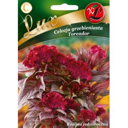 Celosia - chocholatá - Toreador - Semena - W. Legutko