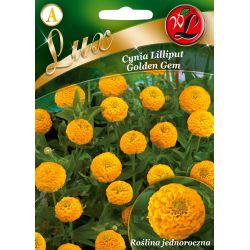 Cínie - liliput - zlatý drahokam - Semena - W. Legutko