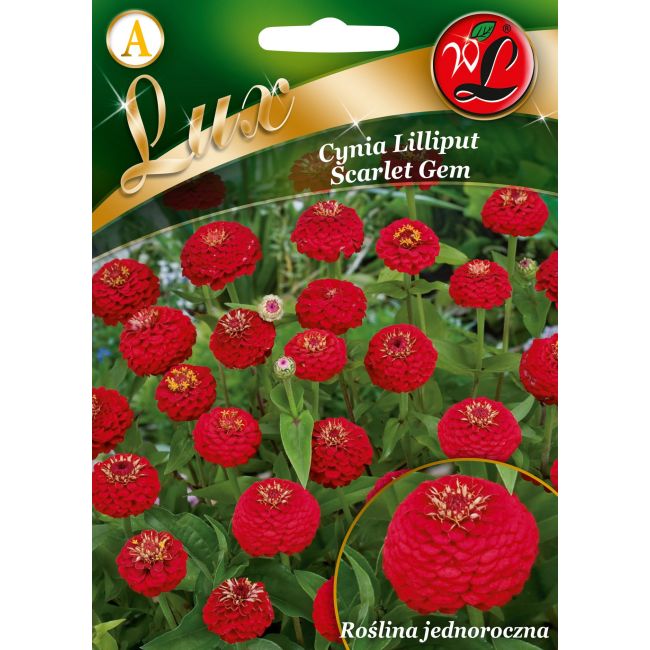 Cínie - elegantní - Lilliput - Scarlet Gem - Semena - W. Legutko Cínie - elegantní - Lilliput - Scarlet Gem - Semena - W. Legutko