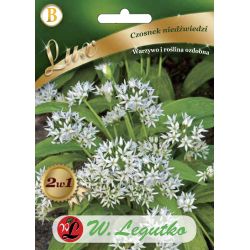 Divoký česnek - Semena - W. Legutko