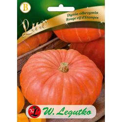 Obří dýně - Rouge vif d`Etampes - Semena - W. Legutko
