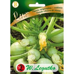 Dýně - cuketa - Tondo chiaro di Nizza - Semena - W. Legutko
