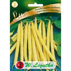 Fazole - pravidelné - zelené - trpasličí - Maxidor - Semena - W. Legutko