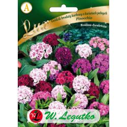 Karafiát vousatý - trpaslík - Pinocchio - Semena - W. Legutko