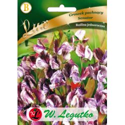 Hrášek - sladký - senátor - Semena - W. Legutko