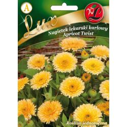 Měsíček - Meruňkový Twist - Semena - W. Legutko