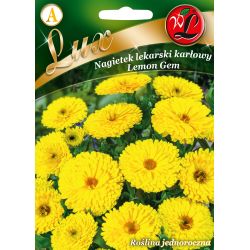 Měsíček - Lemon Gem - Semena - W. Legutko