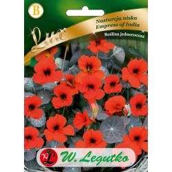 Nasturtium low - císařovna Indie - Semena - W. Legutko