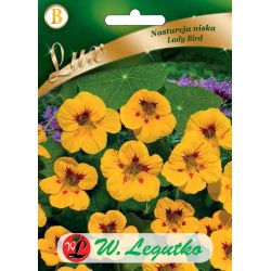 Nasturtium low - Lady Bird - Semena - W. Legutko