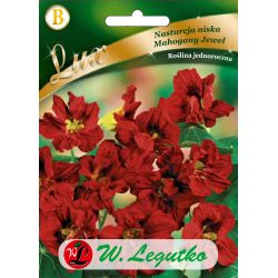 Nasturtium low - Mahagony Jewel - Semena - W. Legutko