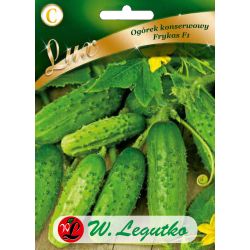 Okurka - polní konzerva - Frykas F1 - Semena - W. Legutko