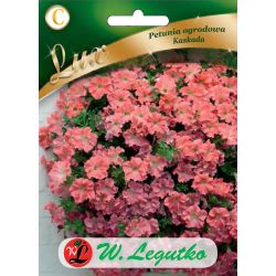 Petúnie zahradní - Cascade - lososově růžová - Semena - W. Legutko