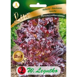 Salát - list - Apache - Semena - W. Legutko