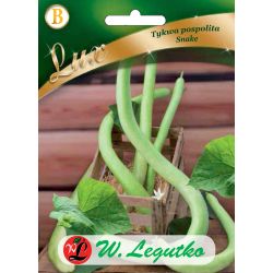 Tykev - obecná - Užovka - Semena - W. Legutko