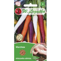 Jedlá mrkev - směs vícebarevných odrůd - 400 semen - Semena - W. Legutko