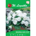 Begonie hlíznatá - Non Stop - bílá - 1 ks. - Cibule a oddenky - W. Legutko