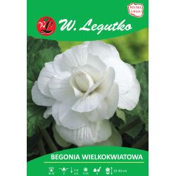 Begonie hlíznatá - velkokvětá - bílá - 1 ks. - Cibule a oddenky - W. Legutko Begonie hlíznatá - velkokvětá - bílá - 1 ks. - Cibule a oddenky - W. Legutko