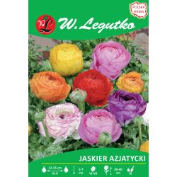 Asijský pryskyřník - mix - 7 ks. - Cibule a oddenky - W. Legutko Asijský pryskyřník - mix - 7 ks. - Cibule a oddenky - W. Legutko